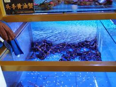 -膳富贵黄油蟹体验馆(欢乐港湾店)