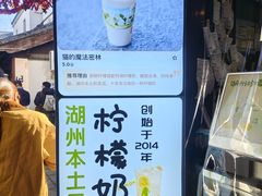 -猫的魔法密林(衣裳街店)