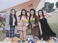 -春花秋色城市公园