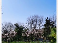 -玲珑塔公园