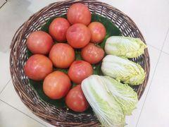 -抹直口特色菜馆(一店)