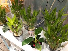 -一芳陈家台湾水果茶