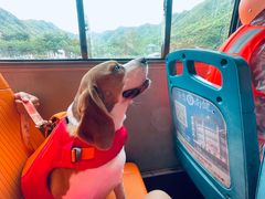 -安吉龙王山峡谷漂流