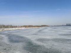 -丁香湖公园