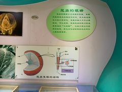 -上海昆虫博物馆