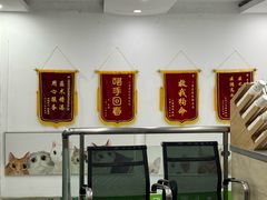 -爱侣宠医·鹦鹉专科·小型哺乳类·异宠专科(灵石路店)