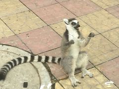 -石家庄市动物园