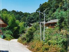 -碧峰峡风景区