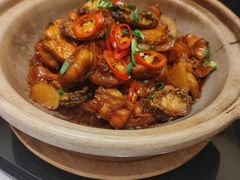 -新雅粤菜馆(南京东路店)