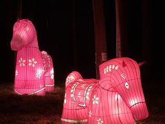-仁和公园(顺义区)