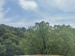 -金鸡山公园