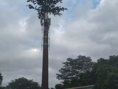 -大屏嶂森林公园