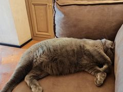 -Me Coffee下午茶艺术空间