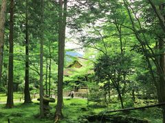 -三千院