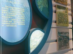 -金钉子远古世界景区
