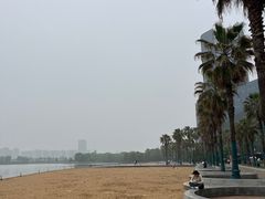 -金沙湖公园