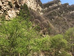 -少华山国家森林公园