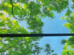 -水云空涧·沐足·采耳·按摩·SPA影院(琶洲店)