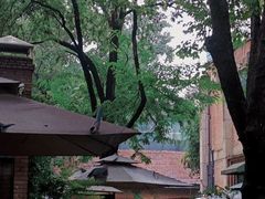 -西安电影制片厂