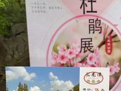 -汇龙潭