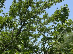 -长兴太湖图影湿地文化园