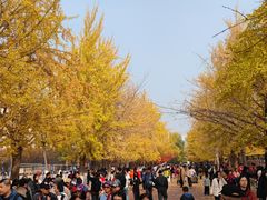 -辽宁大学(崇山校区)