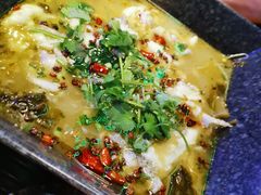 七宇酸菜鱼-七裕庄(凯旋南路店)