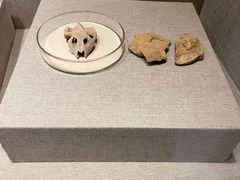 -南越王博物院(王宫展区)