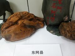 -上海市第一医药商店(南京东路店)
