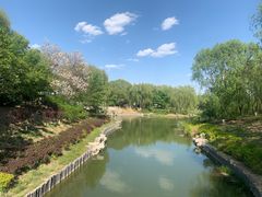 -大兴滨河森林公园