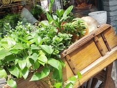 门面-苹果树下艺术餐厅(宋庄店)