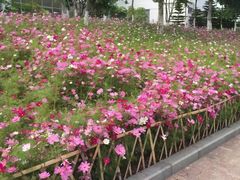 -五通灯塔公园