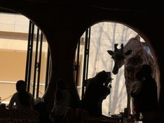 -灵玲国际马戏城