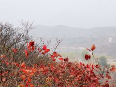 -水峪民俗村