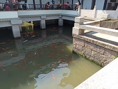 -金庸书院