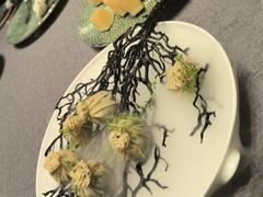 -桂满陇·海市蜃楼·黑金(国金店)