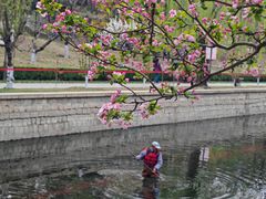 -海棠花溪(元大都城垣遗址公园)
