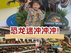 -TOYSRUS玩具反斗城(上海万象城店)