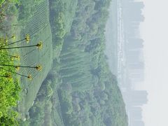 -南山风景名胜区