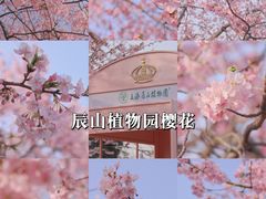 -上海辰山植物园