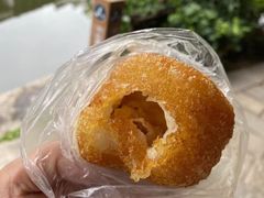 -黎里古镇