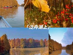 -上海海湾国家森林公园