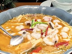 -陈麻婆豆腐总店