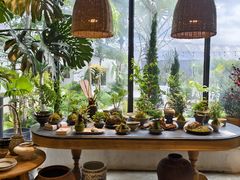 -自由生长植物工作室(深港花卉中心店)