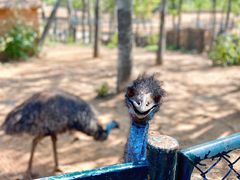 -大连森林动物园