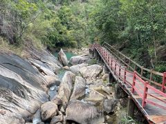 -广州白江湖森林公园