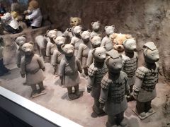 -济州岛泰迪熊博物馆