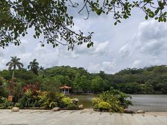 -深圳仙湖植物园