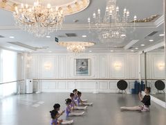 -芭蕾仙子 FairyBallet 少儿芭蕾舞蹈中心(丽都旗舰店)