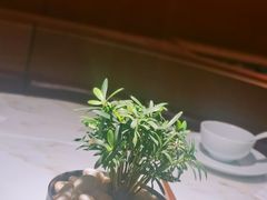 -初蓉丨遇见新川菜(亲贤街荣耀店)